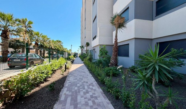 Resale - Apartment -
Torrevieja - Punta Prima