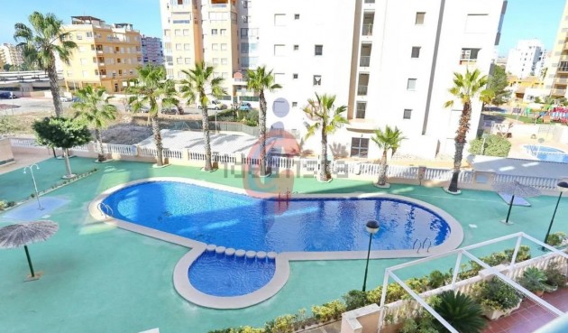 Resale - Apartment -
Guardamar del Segura - Centro