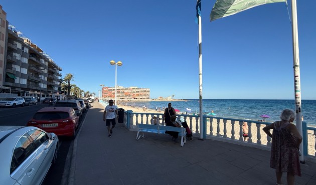 Resale - Apartment -
Torrevieja - Costa Blanca