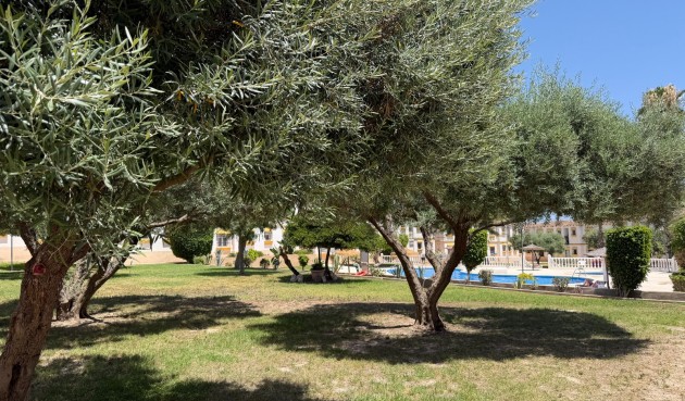 Brukt - Apartment -
Orihuela Costa - Costa Blanca