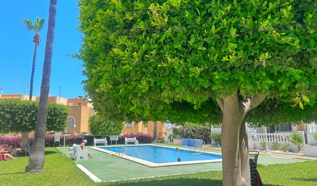 Brukt - Bungalow -
Torrevieja - La Mata