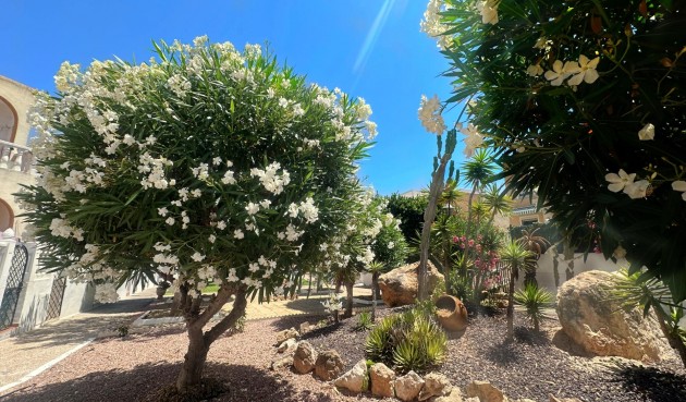 Brukt - Bungalow -
Torrevieja - La Mata