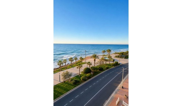 Återförsäljning - Apartment -
Torrevieja - Playa del Cura