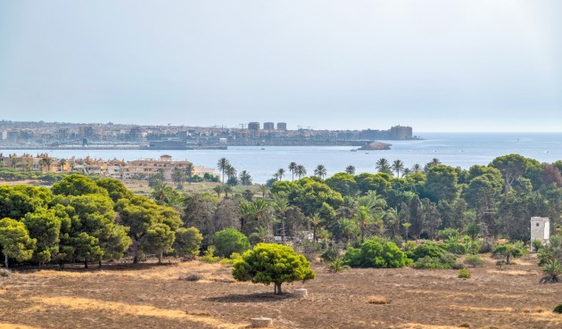 Reventa - Apartment -
Torrevieja - Costa Blanca