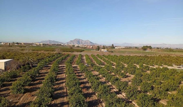 Återförsäljning - Apartment -
Daya Nueva - Costa Blanca