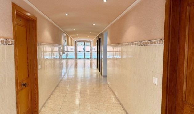 Reventa - Apartment -
Torrevieja - Acequion