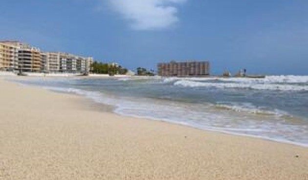 Återförsäljning - Apartment -
Torrevieja - Curva Del Palangre