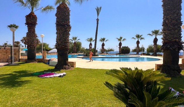 Återförsäljning - Apartment -
Orihuela Costa - Costa Blanca