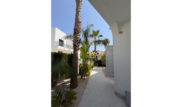 Återförsäljning - Bungalow -
Ciudad Quesada - Costa Blanca