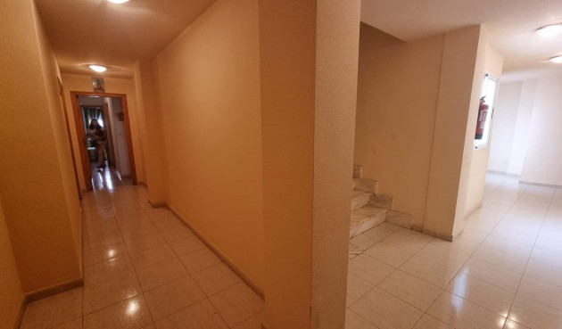 Reventa - Apartment -
Torrevieja - Centro