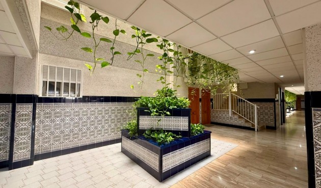 Reventa - Apartment -
Torrevieja - Playa del Cura