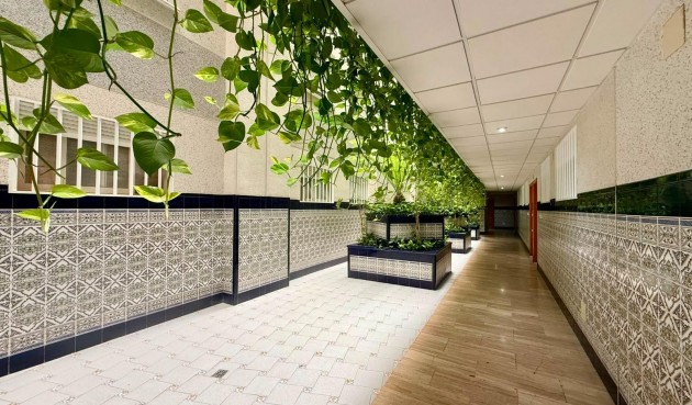 Reventa - Apartment -
Torrevieja - Playa del Cura