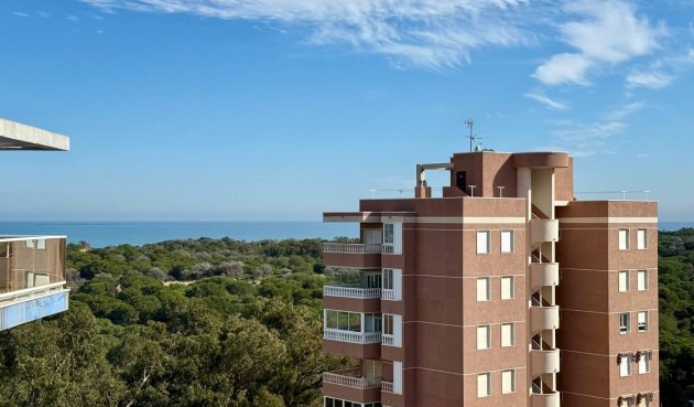 Brukt - Apartment -
Guardamar del Segura - Puerto