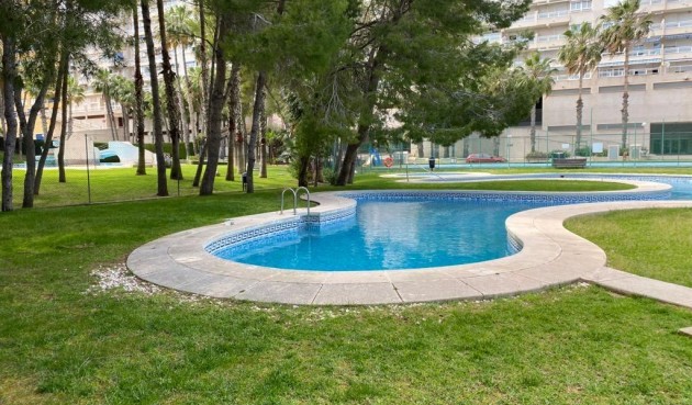 Brukt - Apartment -
Orihuela Costa - Campoamor