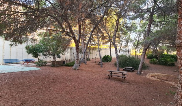 Brukt - Apartment -
Orihuela Costa - Campoamor