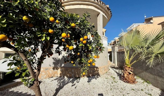 Brukt - Villa -
Orihuela Costa - Playa Flamenca