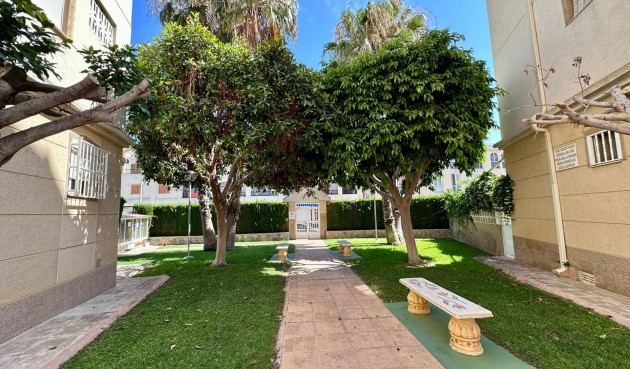 Brukt - Apartment -
Torrevieja - Habaneras