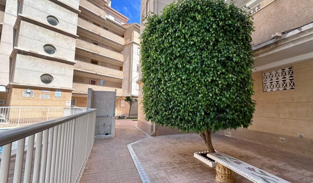 Brukt - Apartment -
Torrevieja - Habaneras