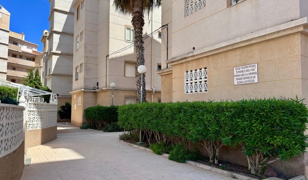 Brukt - Apartment -
Torrevieja - Habaneras
