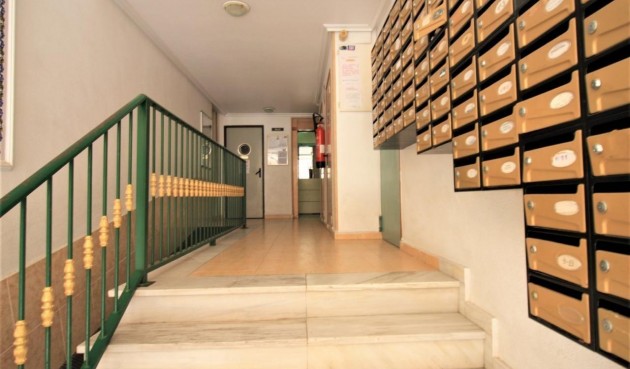 Brukt - Apartment -
Torrevieja - Centro