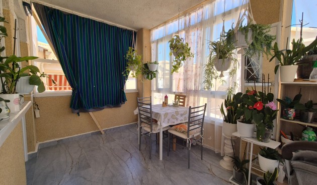 Resale - Bungalow -
Torrevieja - Costa Blanca