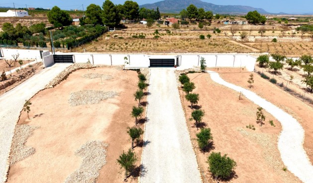 Resale - Villa -
Pinoso - Inland