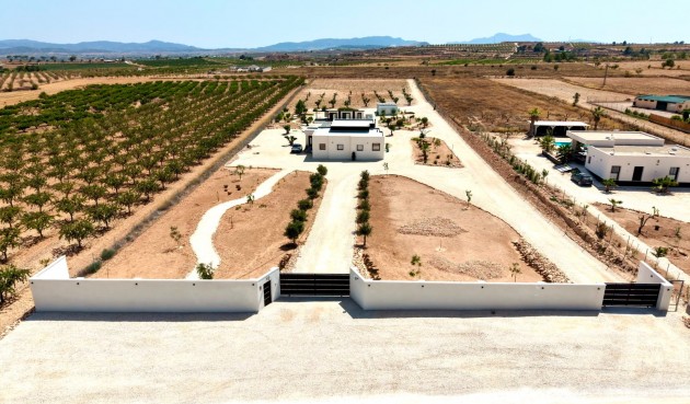 Resale - Villa -
Pinoso - Inland