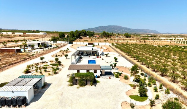 Resale - Villa -
Pinoso - Inland