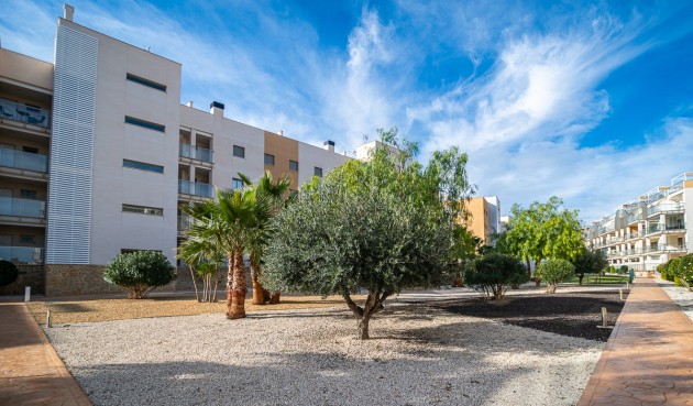 Resale - Apartment -
Orihuela Costa - Costa Blanca