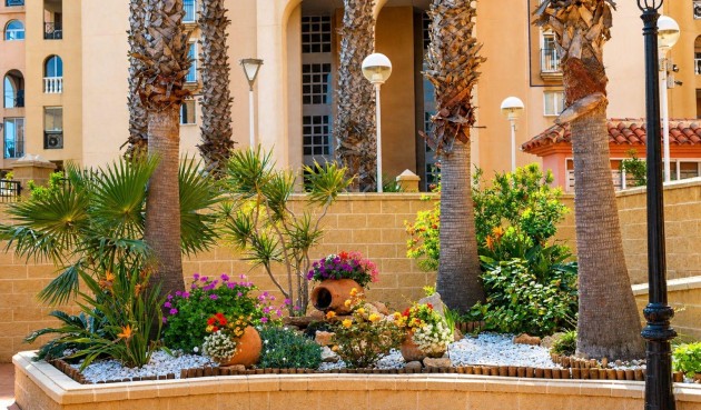 Resale - Apartment -
Torrevieja - Los Frutales