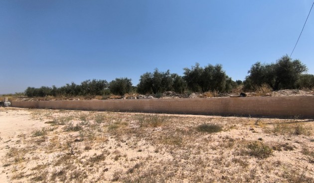 Resale - Villa -
Pinoso - Inland