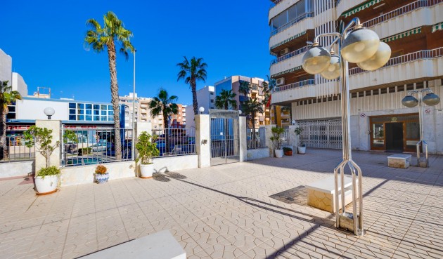 Resale - Apartment -
Torrevieja - Costa Blanca