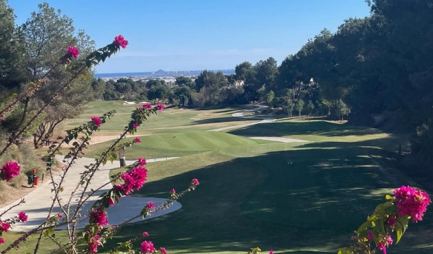 Resale - Apartment -
Pilar de la Horadada - Lo Romero Golf