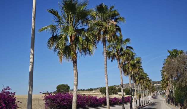 Resale - Villa -
Algorfa - Inland
