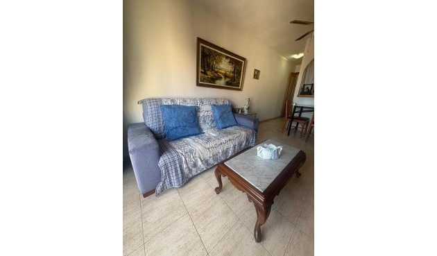 Resale - Apartment -
Torrevieja - Costa Blanca