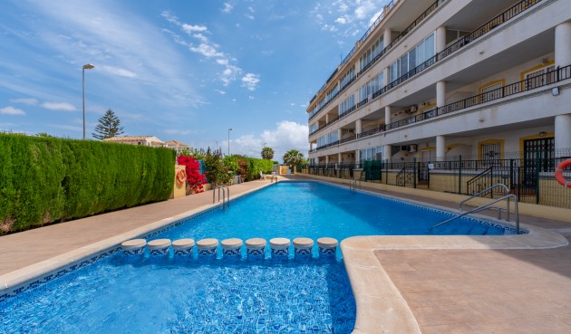Resale - Apartment -
Playa Flamenca - Costa Blanca