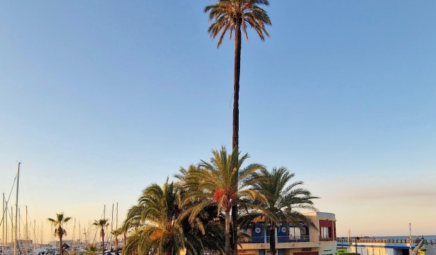 Resale - Apartment -
Denia - Costa Blanca