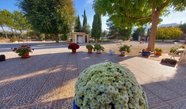Resale - Villa -
Calasparra - Inland