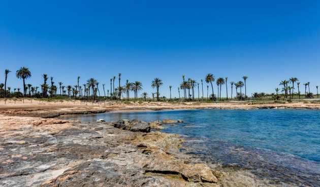 Resale - Apartment -
Torrevieja - Costa Blanca
