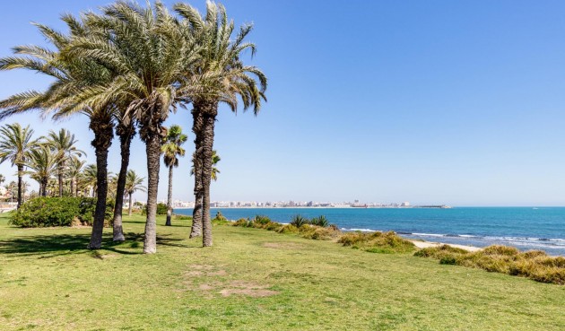 Resale - Apartment -
Torrevieja - Costa Blanca