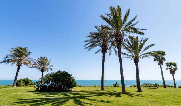 Resale - Apartment -
Torrevieja - Costa Blanca