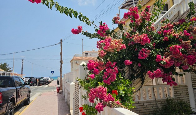 Resale - Bungalow -
Torrevieja - Los Europeos