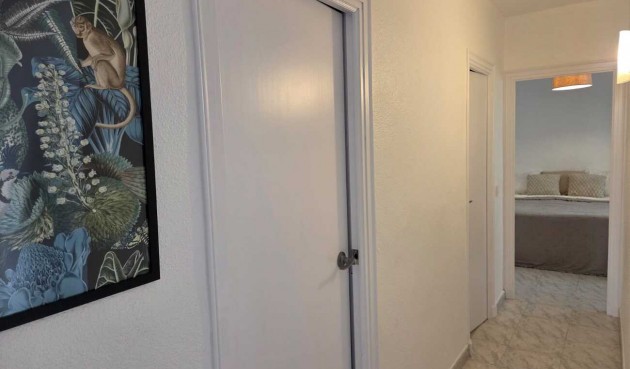 Reventa - Apartment -
Torrevieja - Habaneras