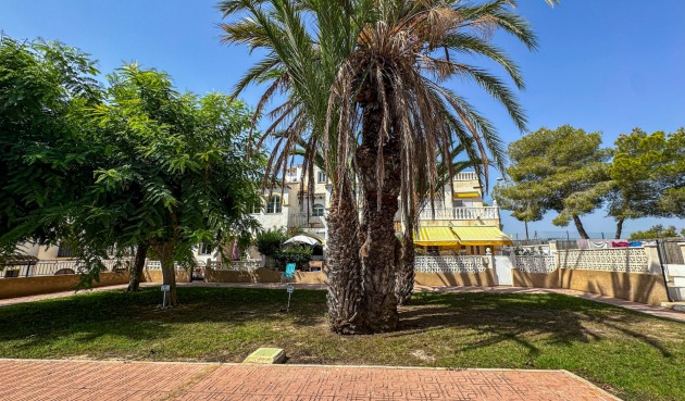 Återförsäljning - Bungalow -
San Miguel de Salinas - Inland