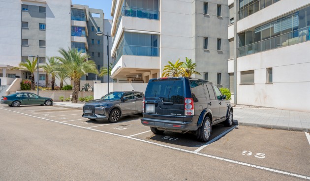 Resale - Apartment -
Los Dolses - Inland