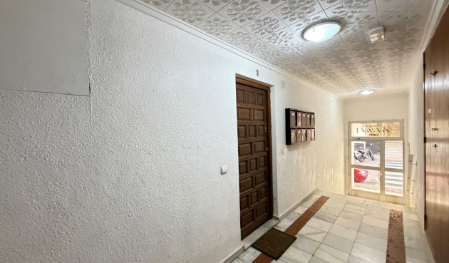 Reventa - Apartment -
Torrevieja - Playa del Cura