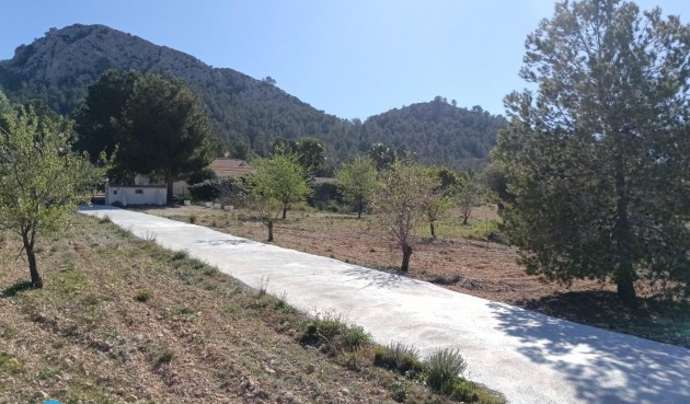 Resale - Villa -
Abanilla