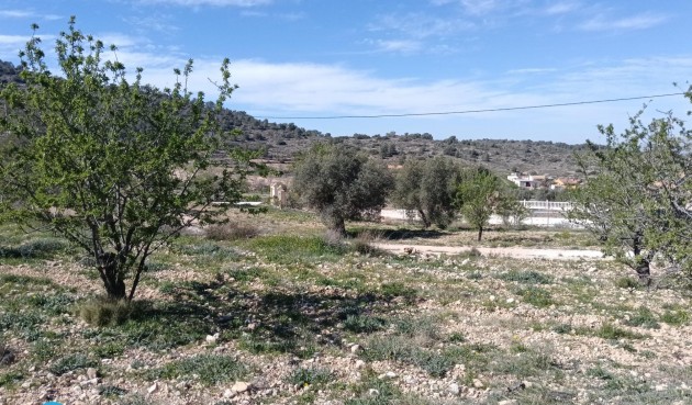 Resale - Villa -
Abanilla