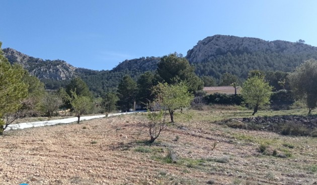 Resale - Villa -
Abanilla
