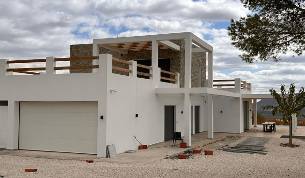 Obra nueva - Villa -
Pinoso - Casas Pastor